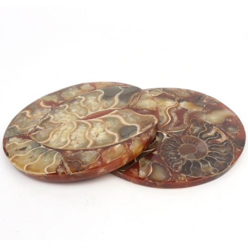 Амонит Фосил Подметач