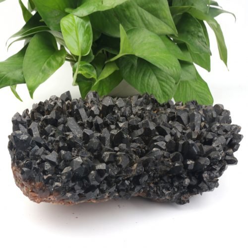 Black Morion Quartz Cluster