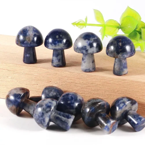 Lapis Lazuli Mushroom