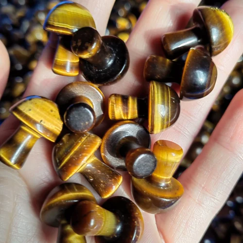 Tiger's Eye Mushroom