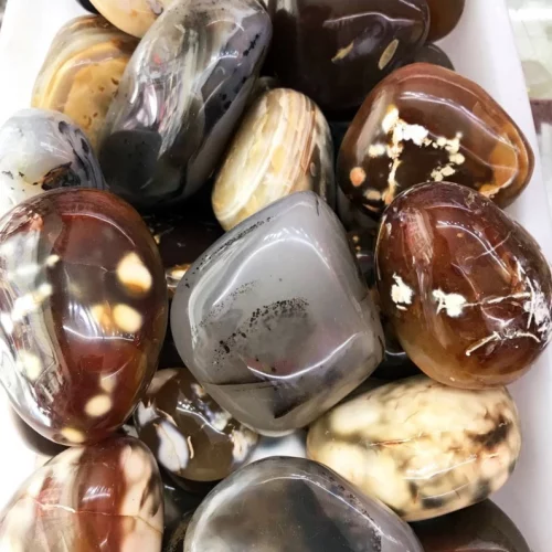 Agate Palm Stone