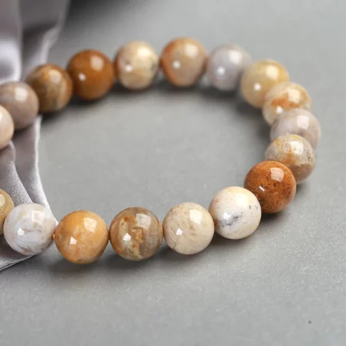 Koral i Fosilizuar Tespih