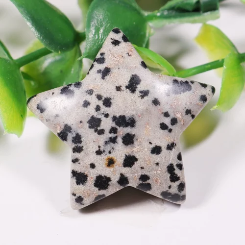 Dalmatian Jasper Star